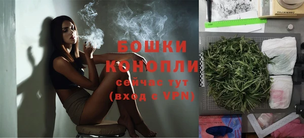 стаф Богородск
