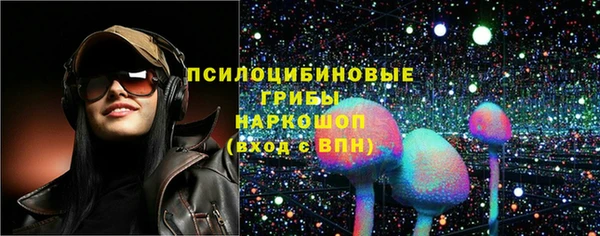 стаф Богородск