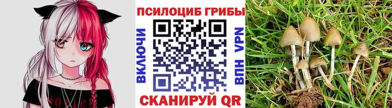 блэк спрут tor  Горнозаводск  Галлюциногенные грибы GOLDEN TEACHER 